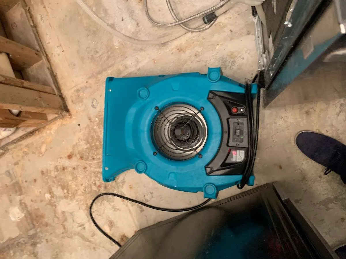 Air mover drying equipment for Mold Remediation & Removal in Mesa